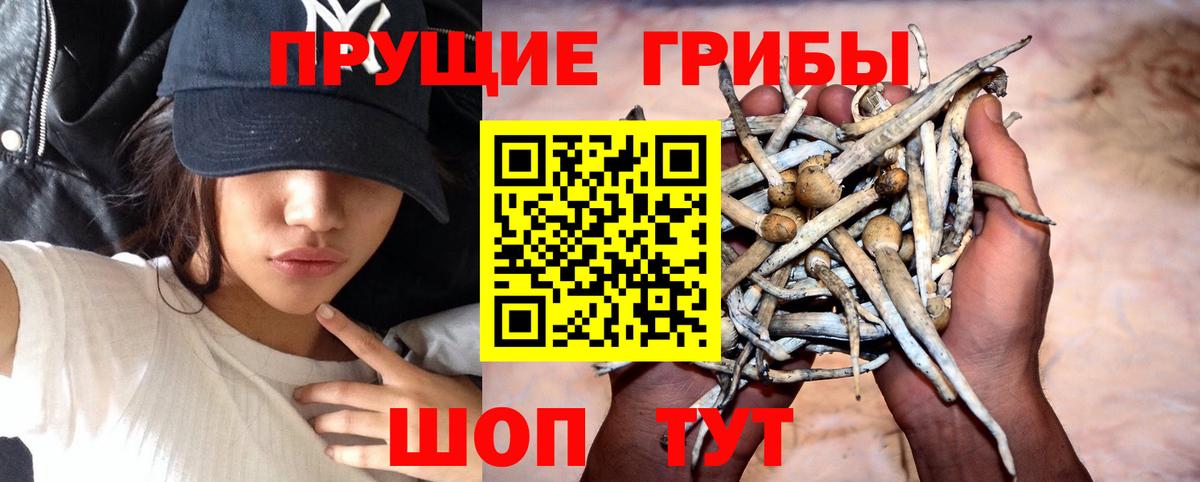 Красноперекопск  Галлюциногенные грибы Cubensis  Вход с VPN  цена наркотик  Галлюциногенные грибы MAGIC MUSHROOMS 